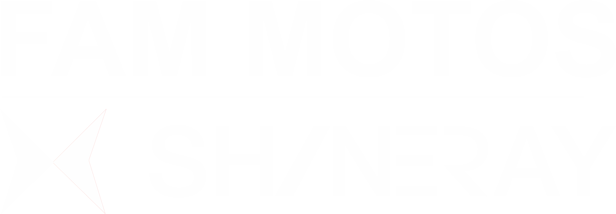 Logo Shineray